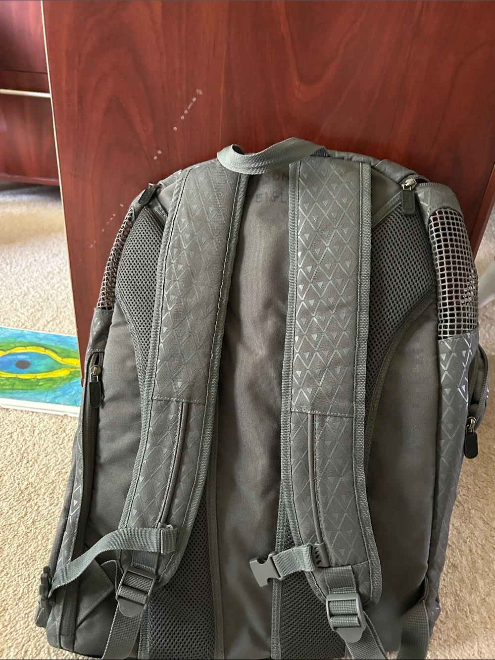 Point3 basketball bag.  Grey